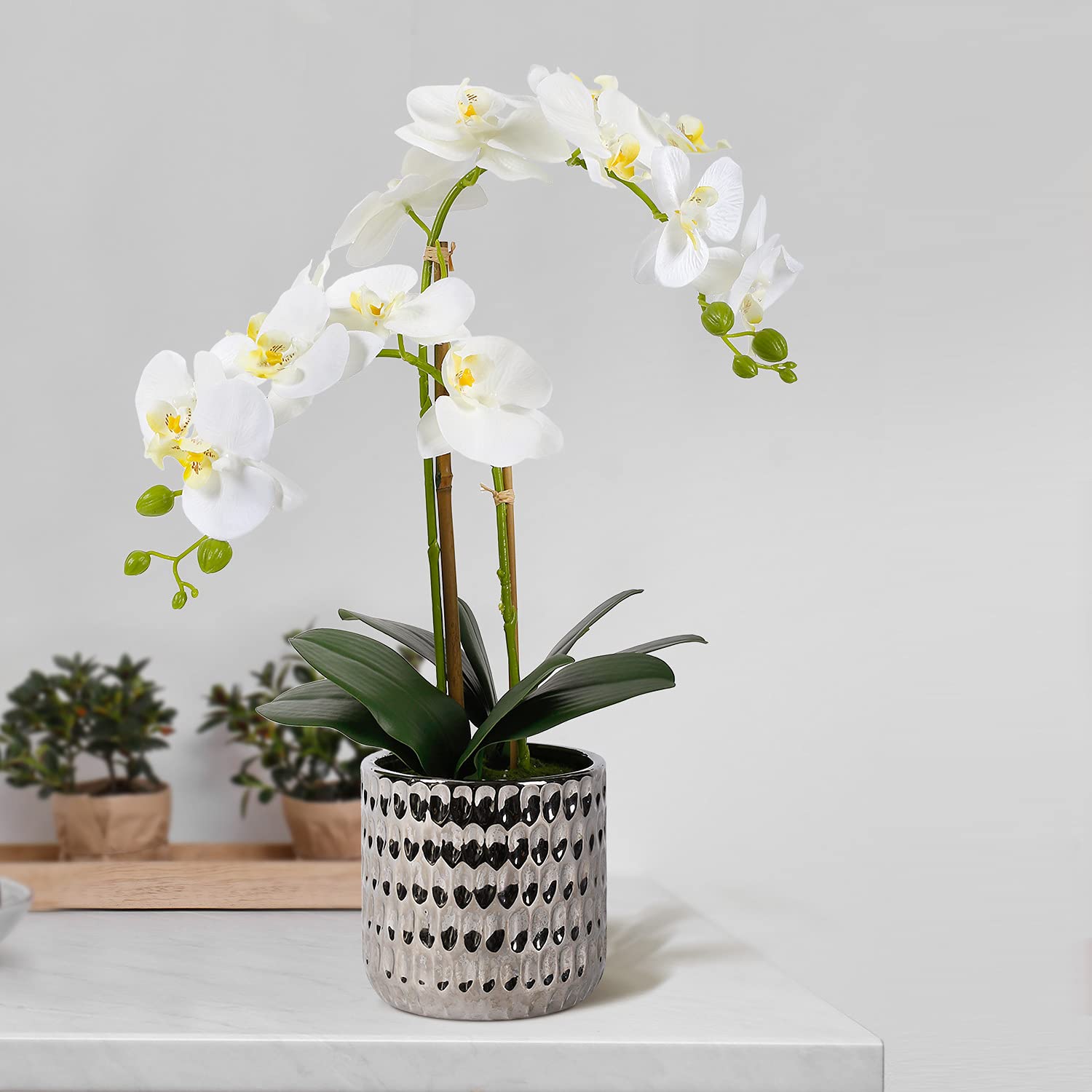 Amazon｜LIVILAN 人工蘭の花 シルク蘭 白い胡蝶蘭 オルキデア 人工的